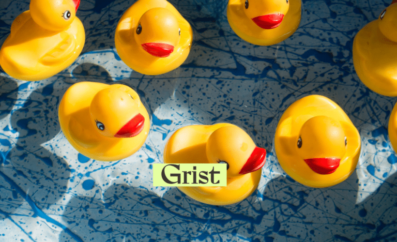 rubber ducks floating, Grist logo in foreground