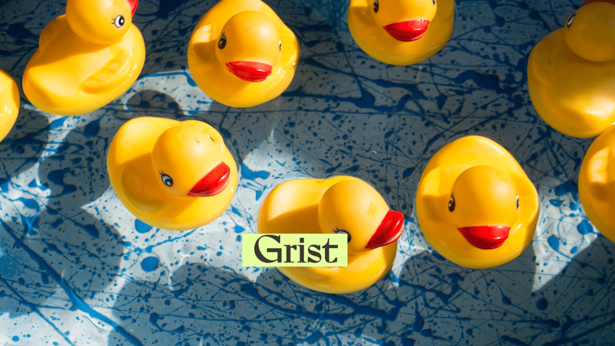 rubber ducks floating, Grist logo in foreground