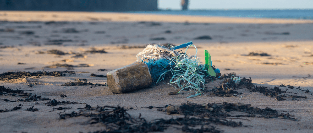 plastic litter on a beach