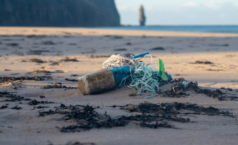 plastic litter on a beach