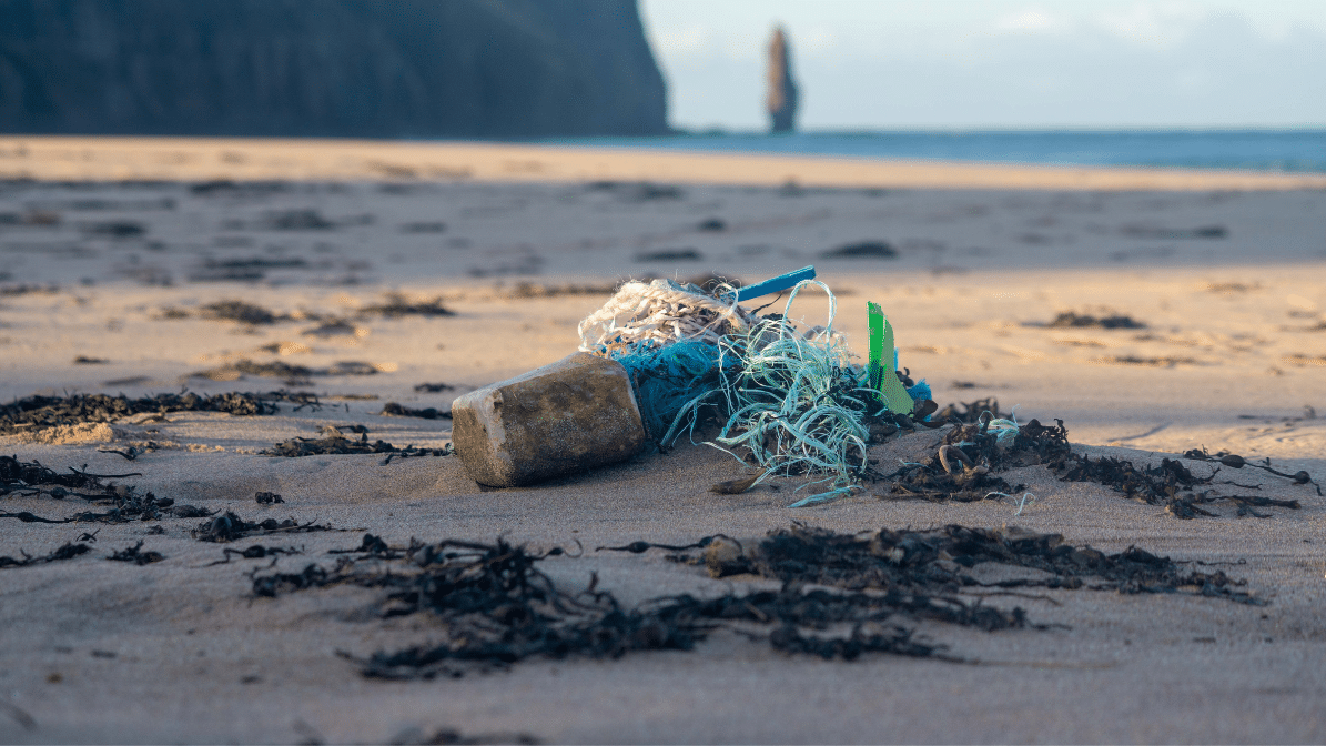 plastic litter on a beach