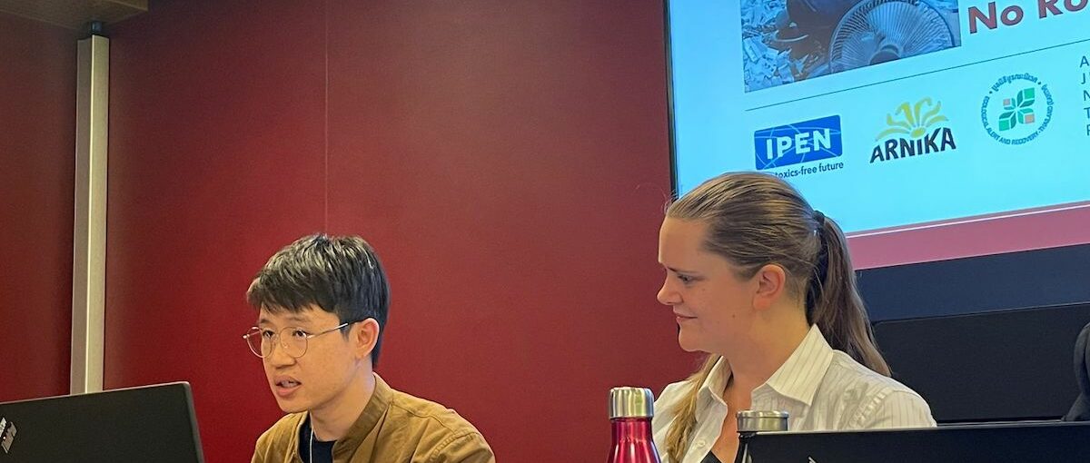 IPEN member speaking at a BRS side event