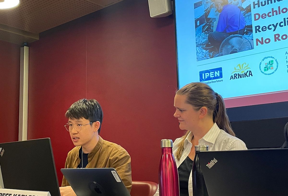 IPEN member speaking at a BRS side event