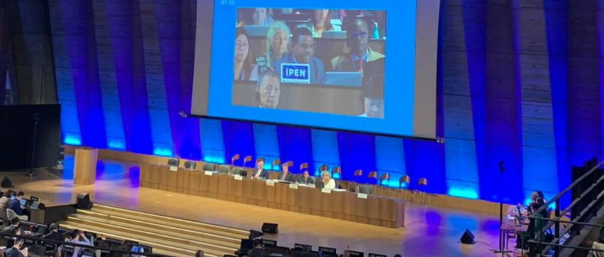 the plenary hall with IPEN speaker on a large video screen