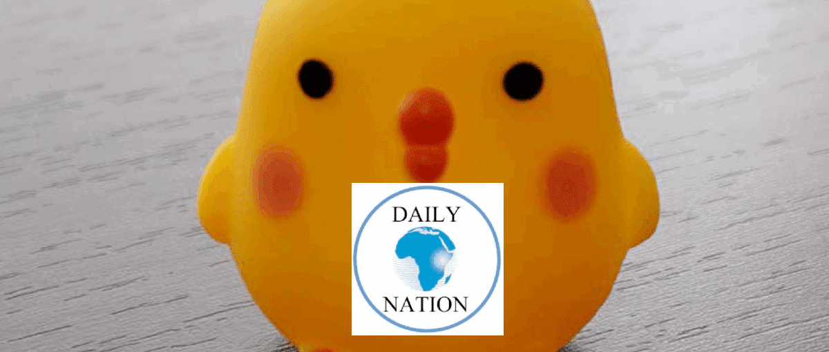 Yellow rubber duck with Daily Nation logo