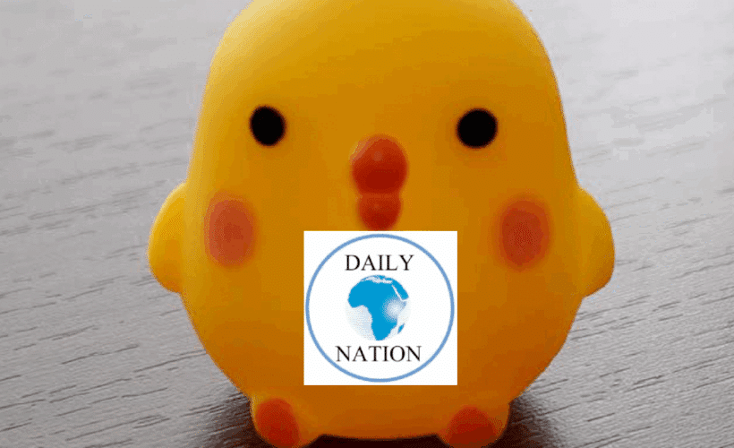 Yellow rubber duck with Daily Nation logo